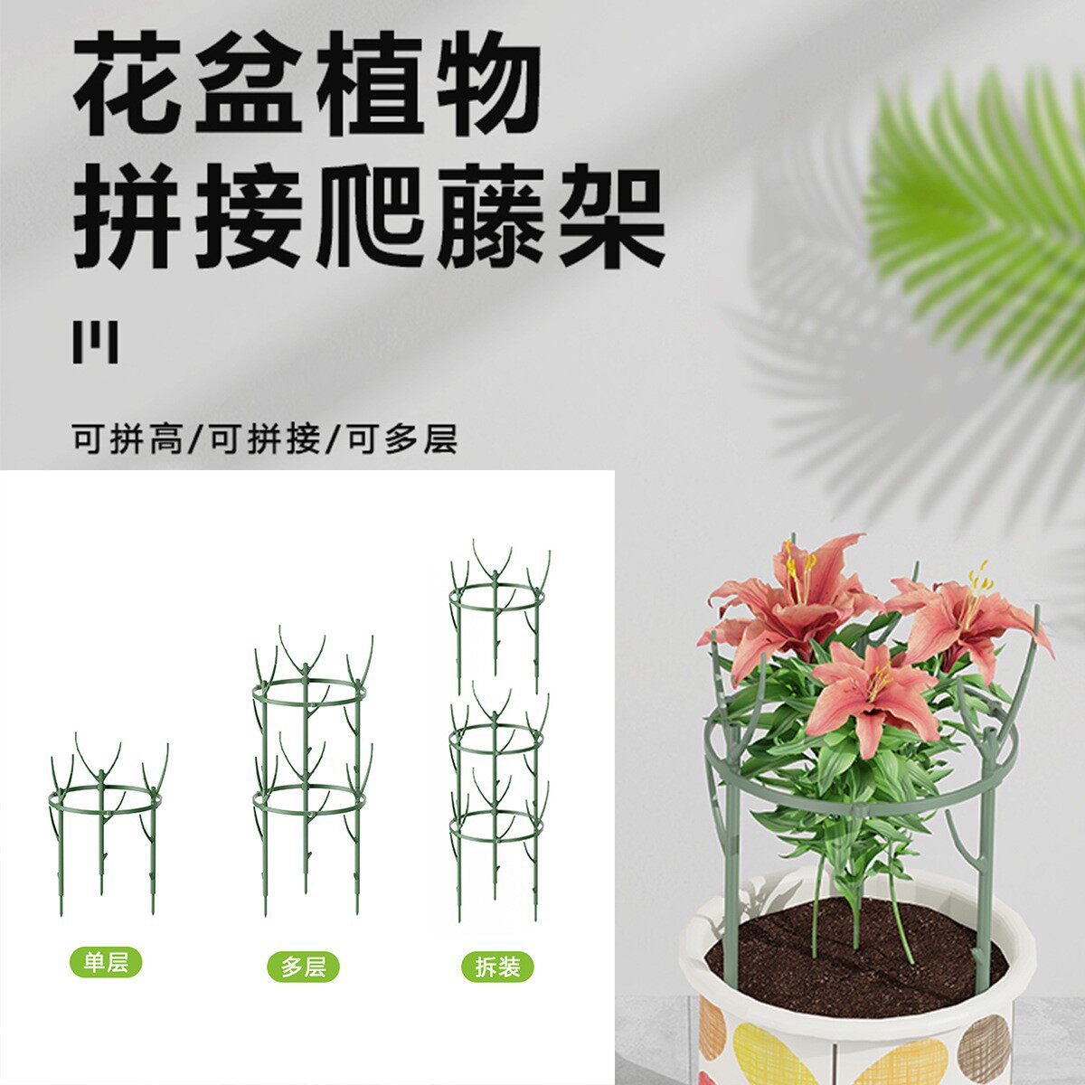 花支架防倒 花盆爬藤架子花卉植物蟹爪兰专用家庭园艺支撑架杆子