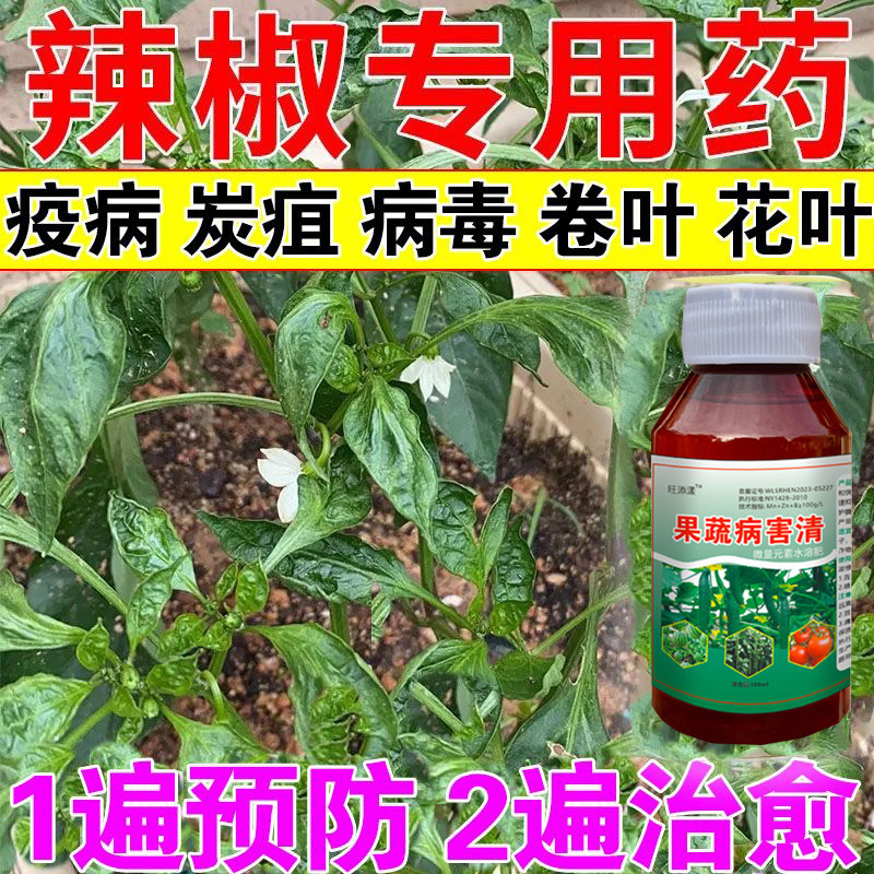 辣椒病毒病专用药辣椒卷叶黄叶肥料治炭疽叶斑特效灰霉病疫病清药