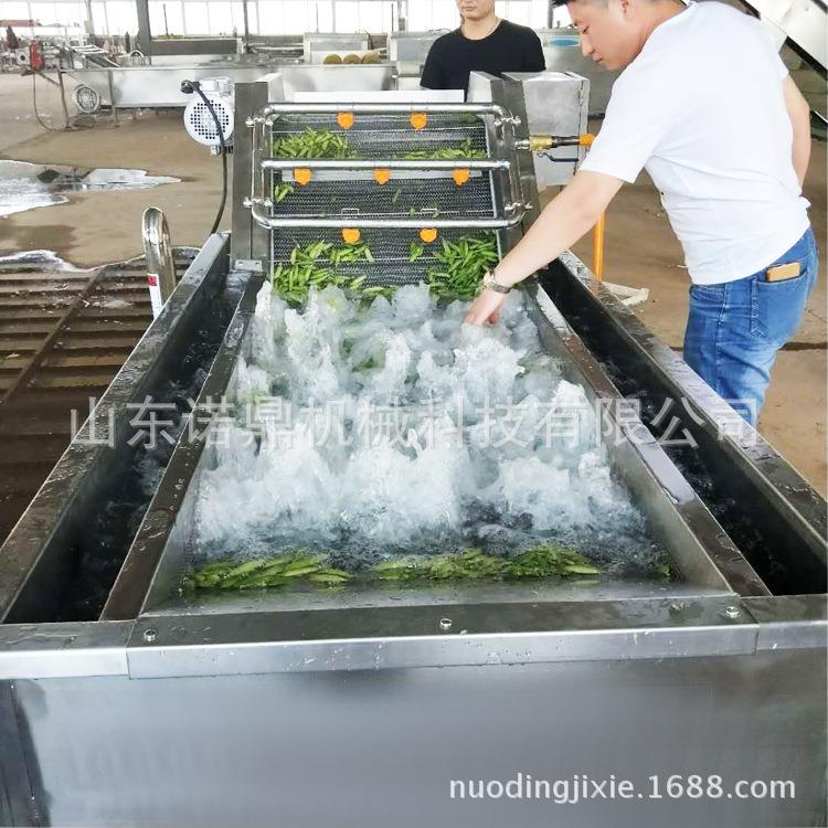 水萝卜清洗设备 全自动气泡清洗机 洗菜机不锈钢制作 链条传送