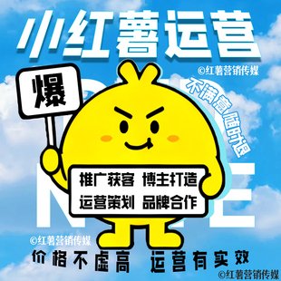 小红xhs书代运营小红薯推广爆款笔记流量起号品牌策划营销IP服务