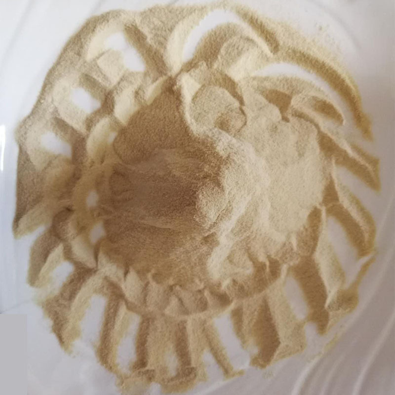 山东鑫瑞冠谷朊粉面筋粉烤面筋粉25kg小麦蛋白粉凉皮面筋粉