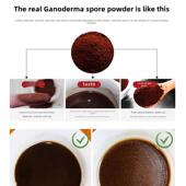 一品堂石IFX家红智胜火山断壁率8椴木红芝孢%9子粉灵长袍大别山林