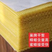 蜜蜂巢中蜂房巢础框EIN片巢础巢基蜂巢深脾养蜂工具中蜂蜡巢础础