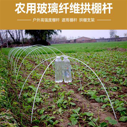 蔬菜保温温室大棚育苗小拱棚支架撑杆骨架玻璃钢纤维花棚种菜棚架