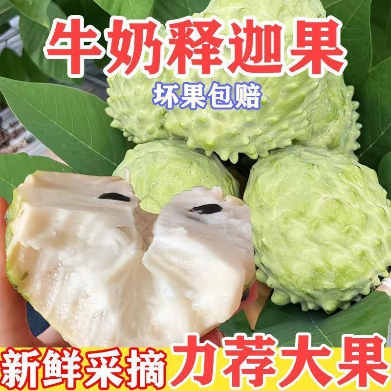 头茬新鲜释迦果牛奶凤梨