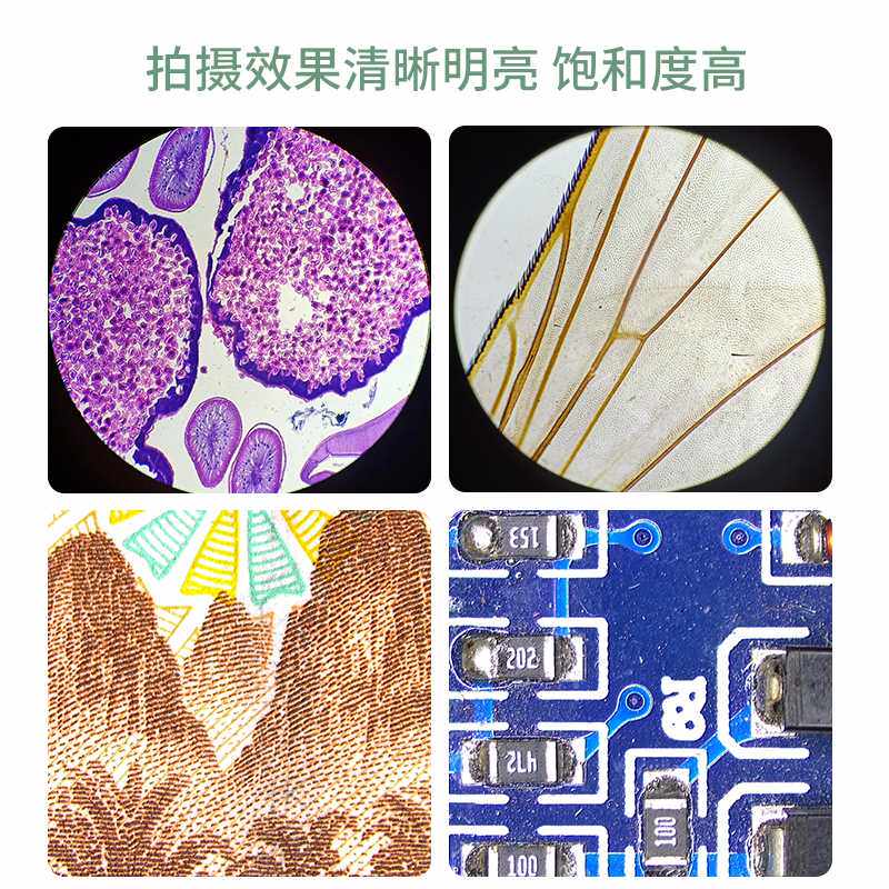 。显微镜单反接数码口相机卡口尼康佳能 2X高清成像全幅M42接口高性价比高么？