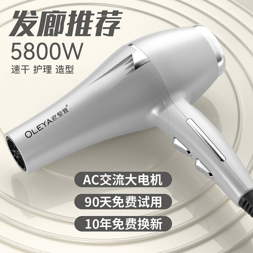 德国电吹风机家用大风力负离子护