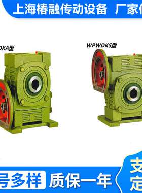 万能型WPWDKA/WPWDKS蜗轮蜗杆减速机 立式铁壳变速器齿轮机变速箱
