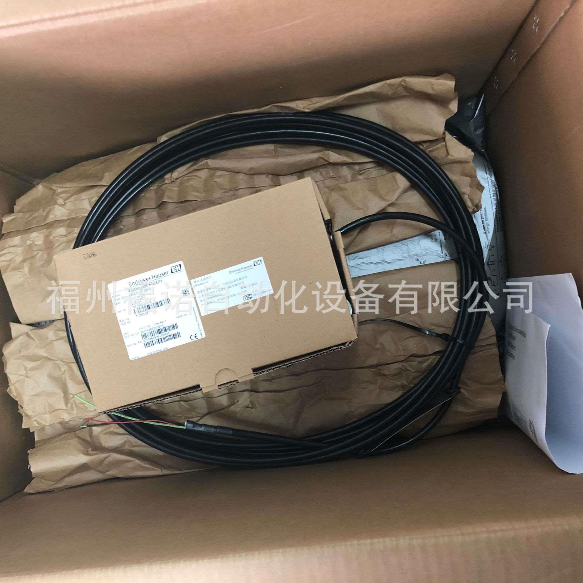 E+H静压物位计FMX21 FMX167-A1ABE1B7 德国恩德斯豪斯仪表