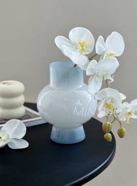 简约高级感玻璃花瓶家居客厅插花水养鲜花小花瓶装饰摆件批发