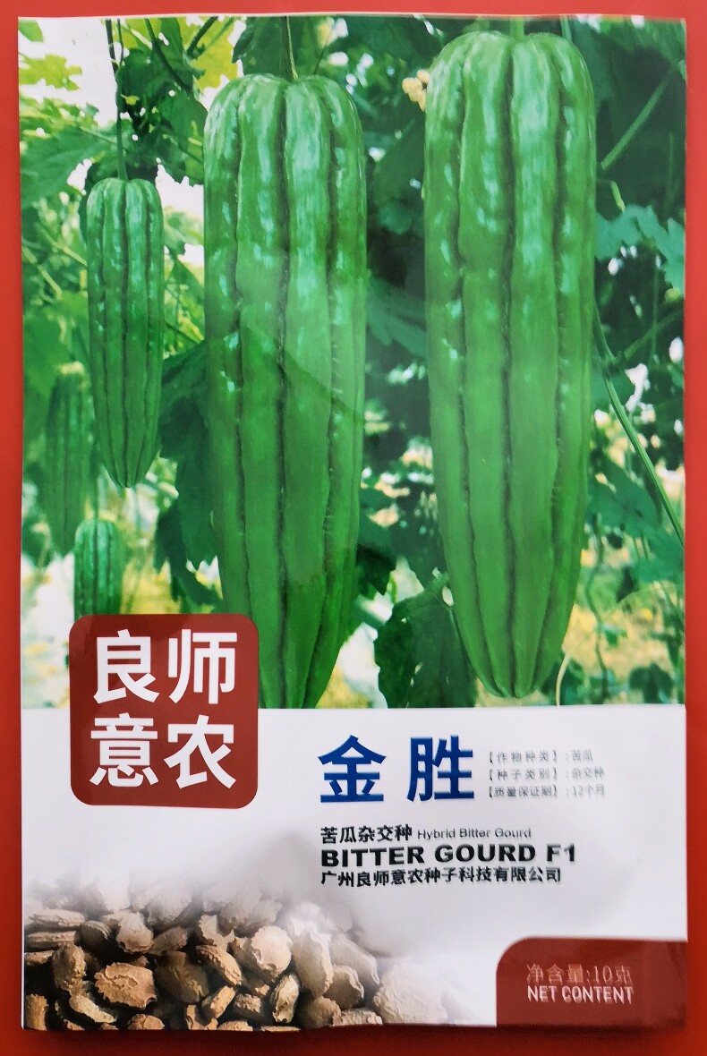 苦瓜种子良师意农研苦瓜种子优质高产抗病金胜苦瓜种子10克