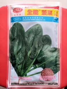 菠菜种子浓绿菠菜多利牌全能菠菜种子黄清河菠菜种子视界菠菜种子