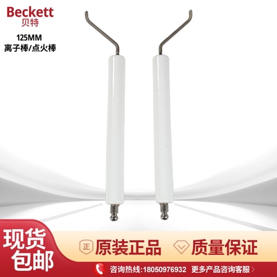 Weishaupt威索WG10/1-D/20/30/40N点火电极点火棒离子探针离子棒