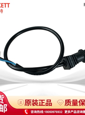 利雅路RG系列电眼 RG4S 5S RG4D5D火焰探测器感光电眼燃烧机专用