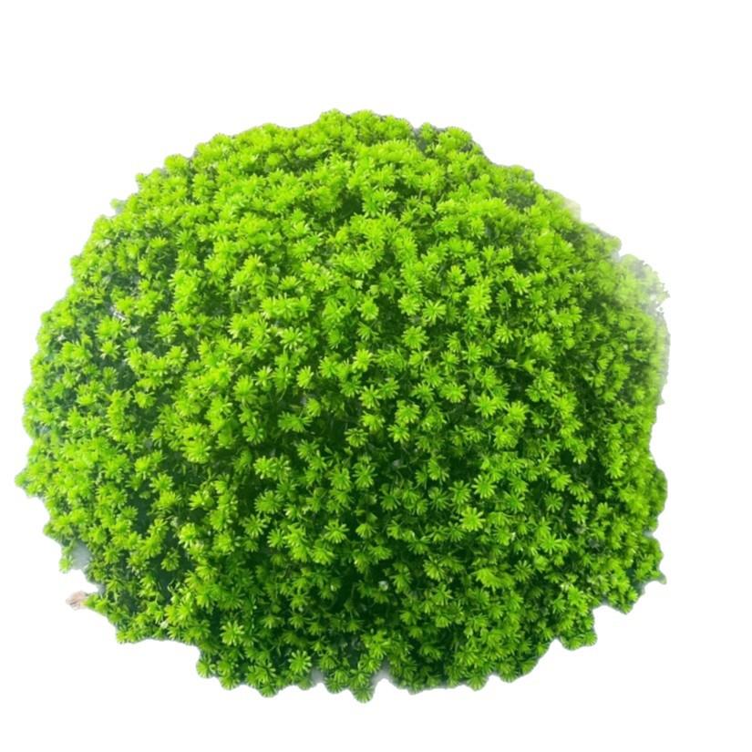 户外绿植井盖遮挡装饰品绿植球仿真绿植佛家草草球装饰米兰草球