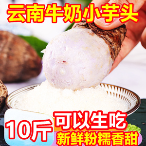 云南特产牛奶小芋头10斤新鲜当季蔬菜小香芋芋艿毛芋头农家自种