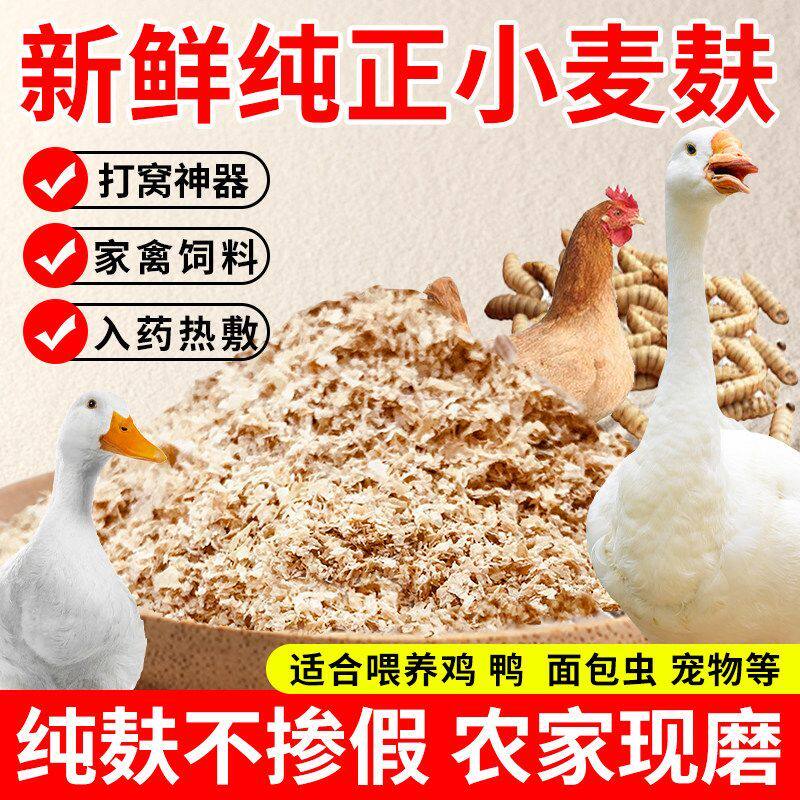 新鲜农家麦麸喂狗面包虫专用50斤