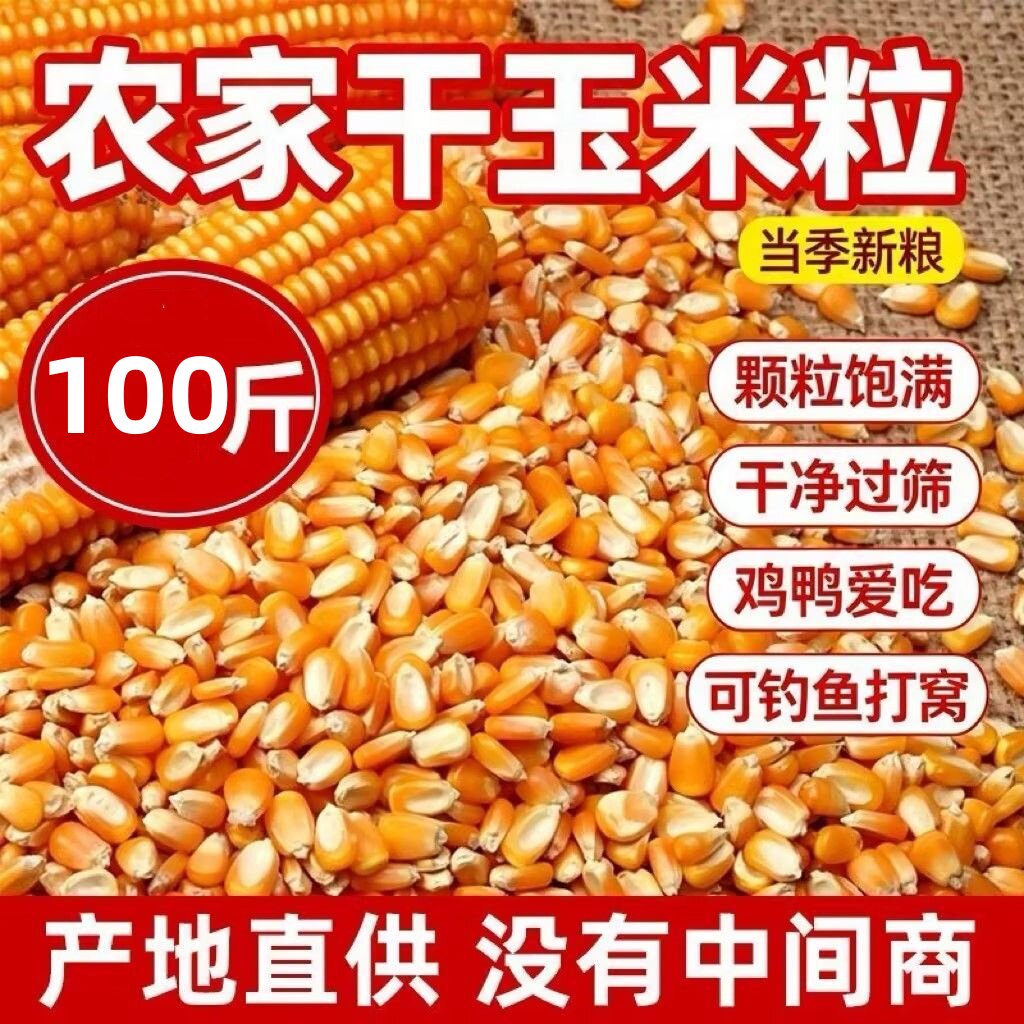 26年新粮养殖鸽子食粮养鸡100斤