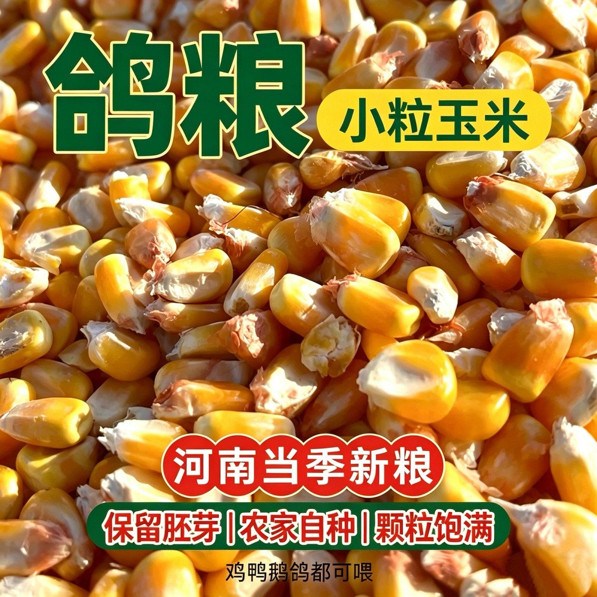 26年新粮养殖鸽子食粮养鸡100斤