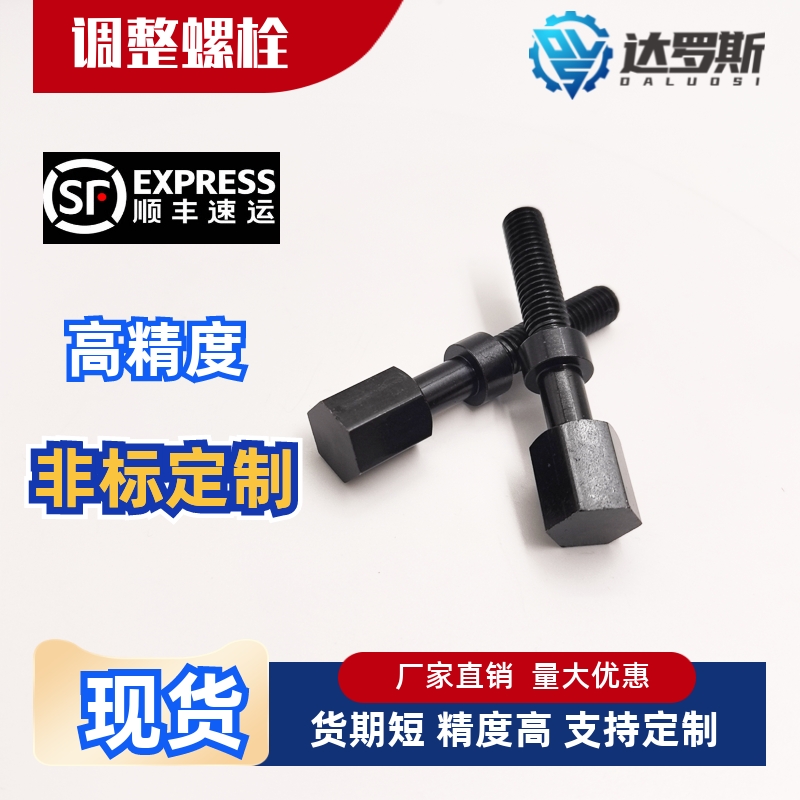 调整螺栓PAY01-M3M45-L2