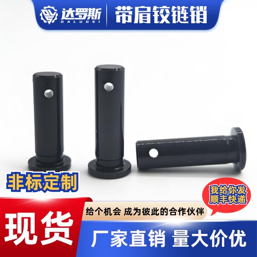 带肩铰链销开口销固定型