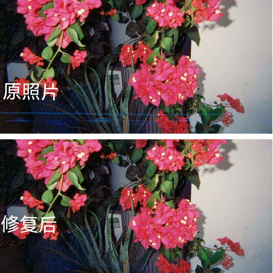 限量瑕疵胶卷 柯达去碳彩色135 禄来黑白 120 胶片 有效期两年