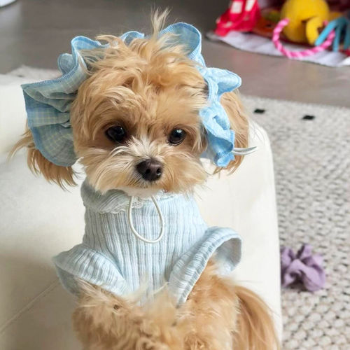 狗狗耳花宠物发饰大耳朵