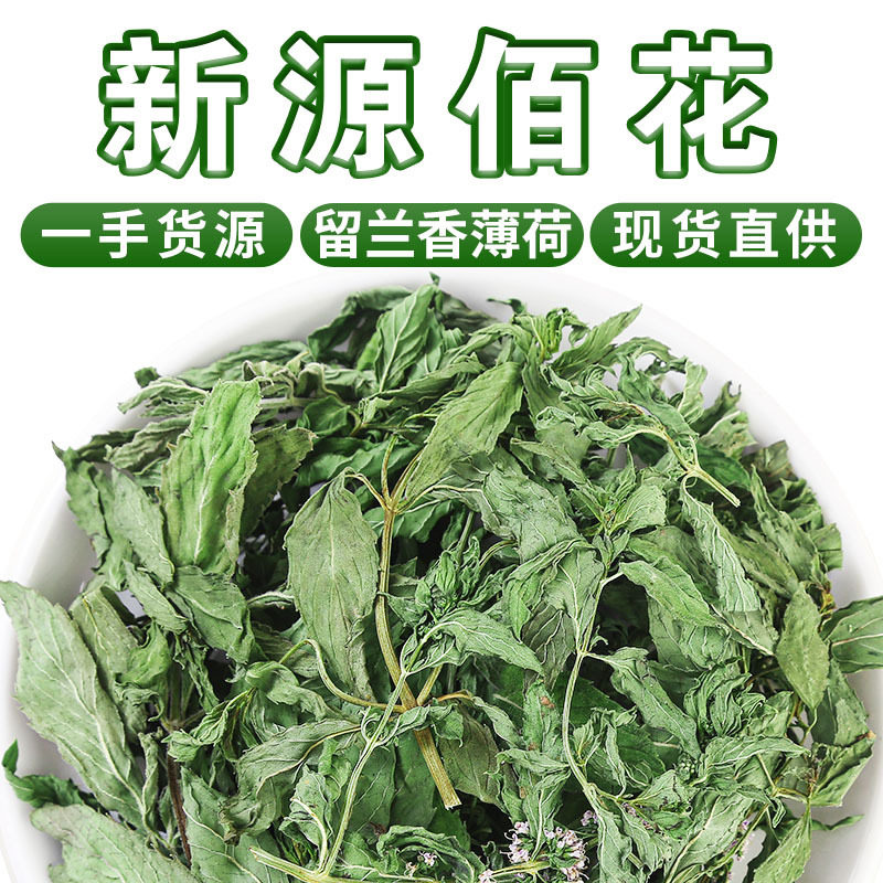 批发安徽太和留兰香薄荷薄荷茶叶干薄荷叶新鲜可食用泡茶源头直供