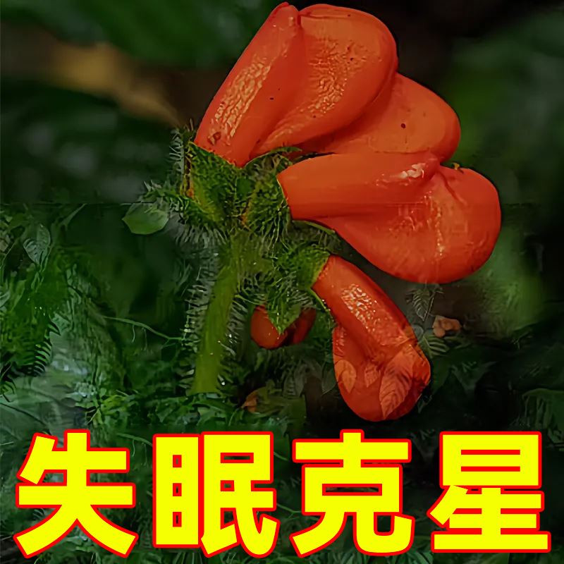 【挑战深睡8小时】失眠贴快速入睡改善焦虑睡不着专用助眠贴膏SJ