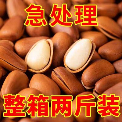 新货便宜】东北松子2斤大颗粒坚果办公批发干果孕妇休闲零食散装