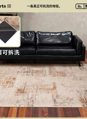 CCFARTS 沙漠玫瑰 客厅可机洗地毯双层可拆洗房间卧室高级轻奢