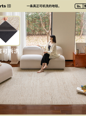 【四季中古客厅合集】CCF 客厅双层可拆洗机洗地毯无胶防猫抓