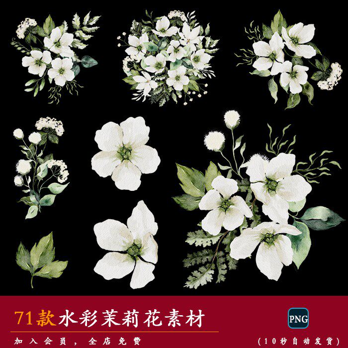 【茉莉花】手绘水彩白色唯美花朵卉植物婚礼装饰图案png免扣素材