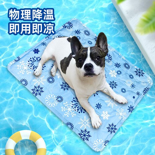 免注水凝胶冰垫抗菌降温耐抓透气宠物猫狗夏季通用小型犬坐垫凉垫