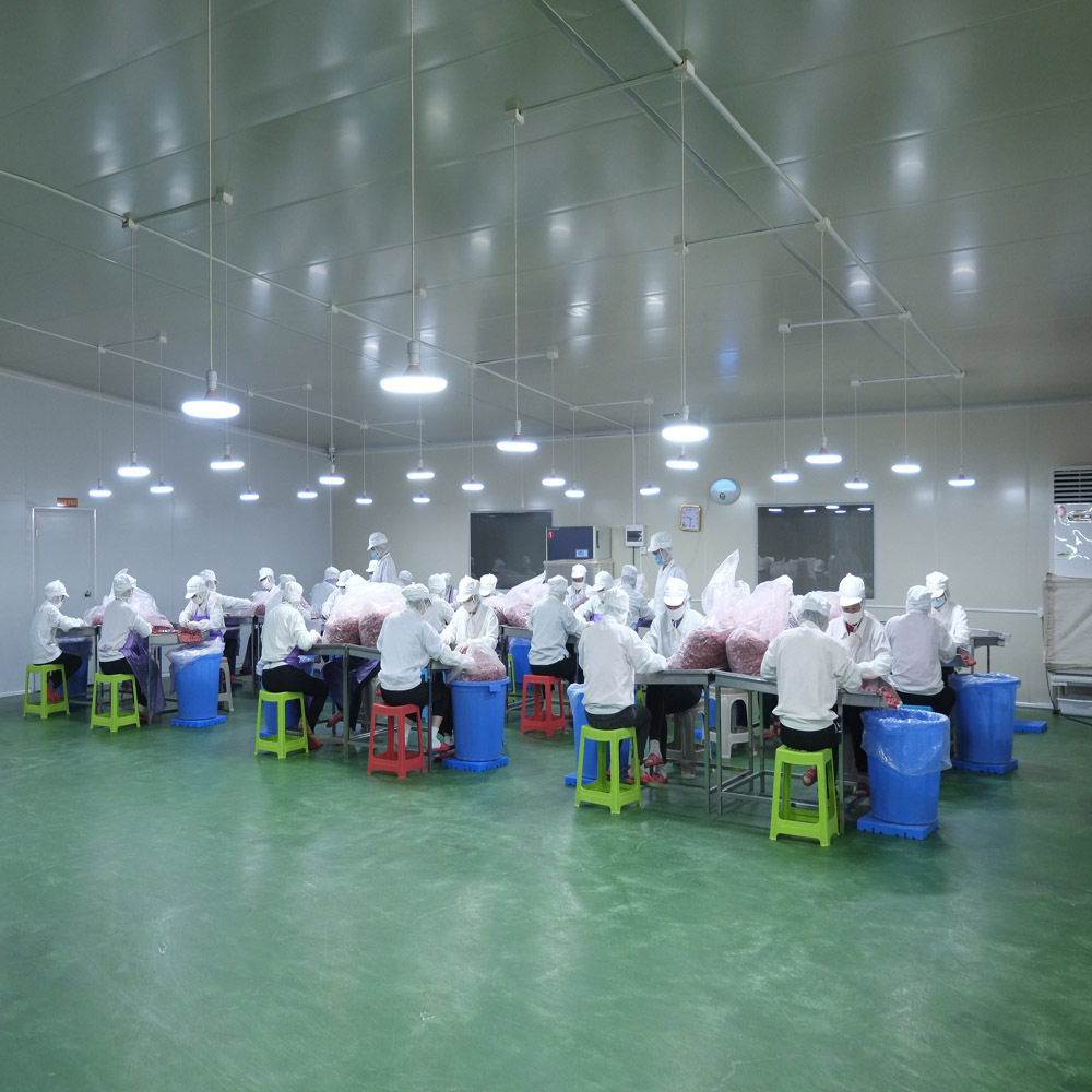 冻干榴莲条厂家散装现货水果干办公室休闲零食大榴莲块