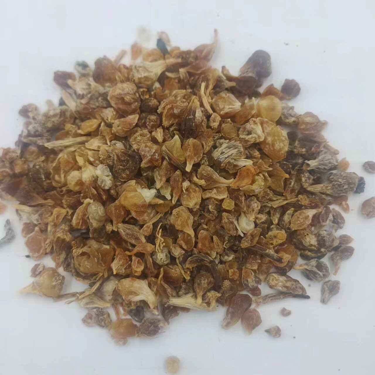 薤白头 新鲜 山蒜野蒜 薤白 团葱 野白头 材