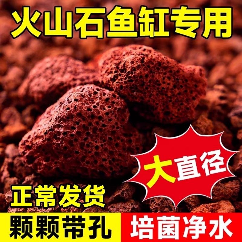 火山石鱼缸专用水族垫底砂生态造景大块火山岩颗粒古法养鱼过滤材,宠物/宠物食品及用品,造景/装饰,淘宝优惠券,粉丝福利购,淘宝优惠卷