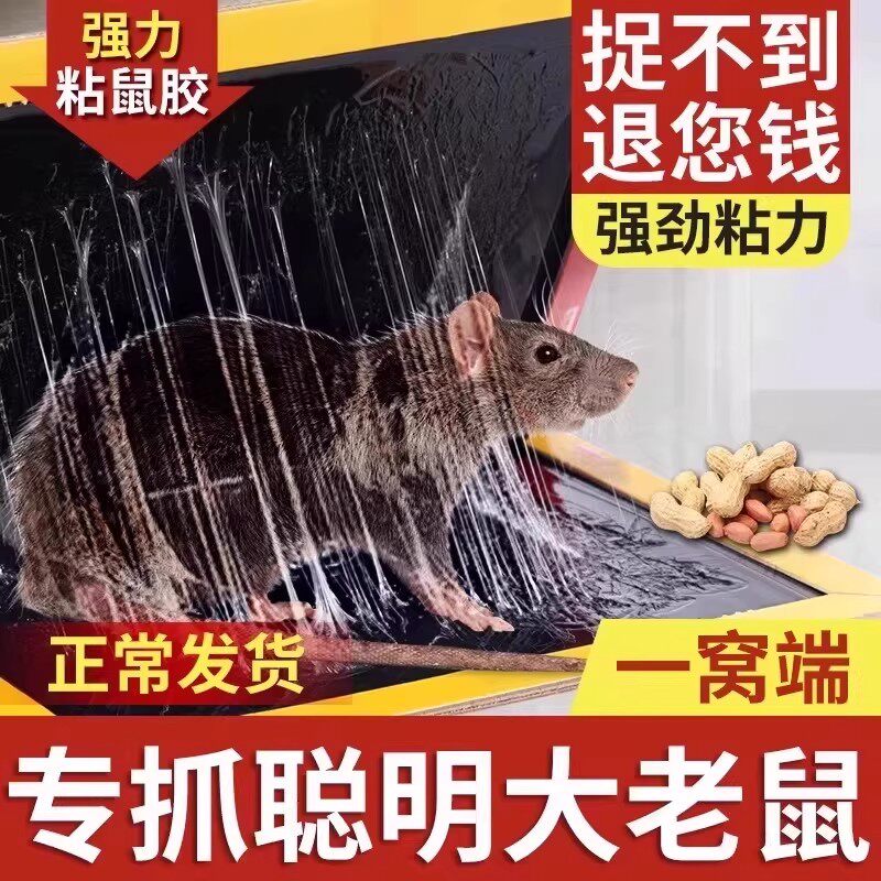 强力粘鼠板黏胶大老鼠贴超强家用神器粘鼠器粘大老鼠器强力胶粘板