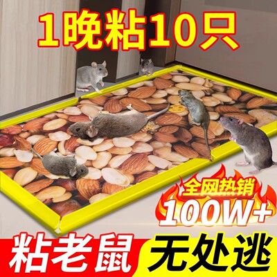 德国强力粘鼠板加大加厚捕鼠神器
