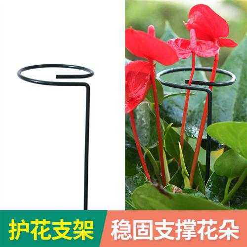 花卉支撑杆朱顶红绣球蝴蝶兰园艺支架固定架爬藤花卉防倒伏铁艺架