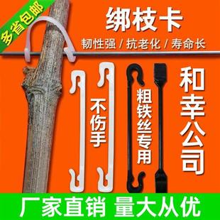 新款 葡萄绑枝卡无花果卡子卡扣猕猴桃卡扣果树挂钩绑扎丝绿植 包邮