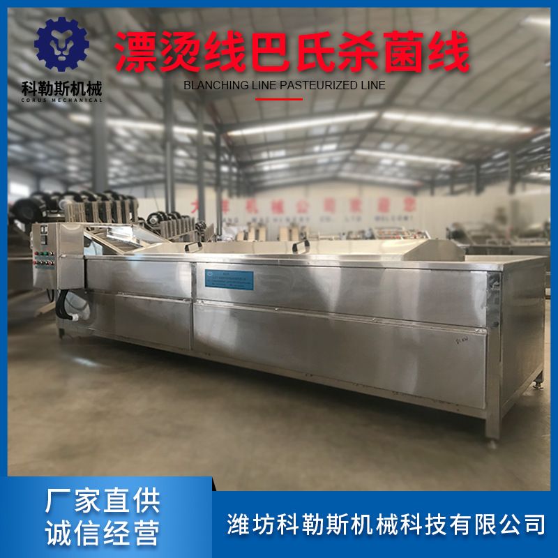 厂家直发蔬菜漂烫机 食品加工厂果蔬漂烫杀青机 水果预煮冷却线