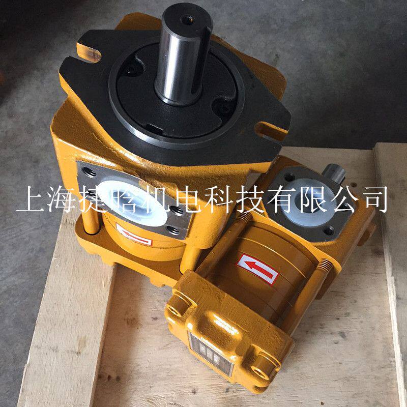 上海航发SAEMP 精益牌 油泵 NBZ4-D63F 直齿共轭内啮合齿轮泵