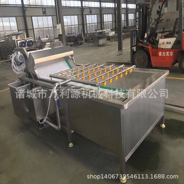 厂家特惠果蔬清洗设备 梅干菜气泡清洗机 蔬菜高压喷淋清洗机,清洗/食品/商业设备,洗果机/洗菜机,淘宝优惠券,粉丝福利购,淘宝优惠卷