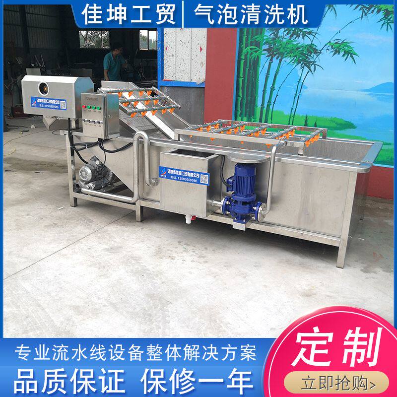 喷淋式气泡清洗机设备 全自动果蔬清洗机  豇豆果蔬清洗机 可供应