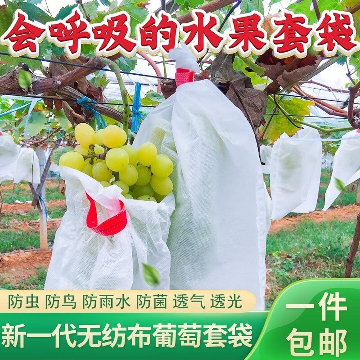 西红柿包葡萄的纸袋专用袋洋柿子番茄果袋圣女六月柿珍珠瀑布防水