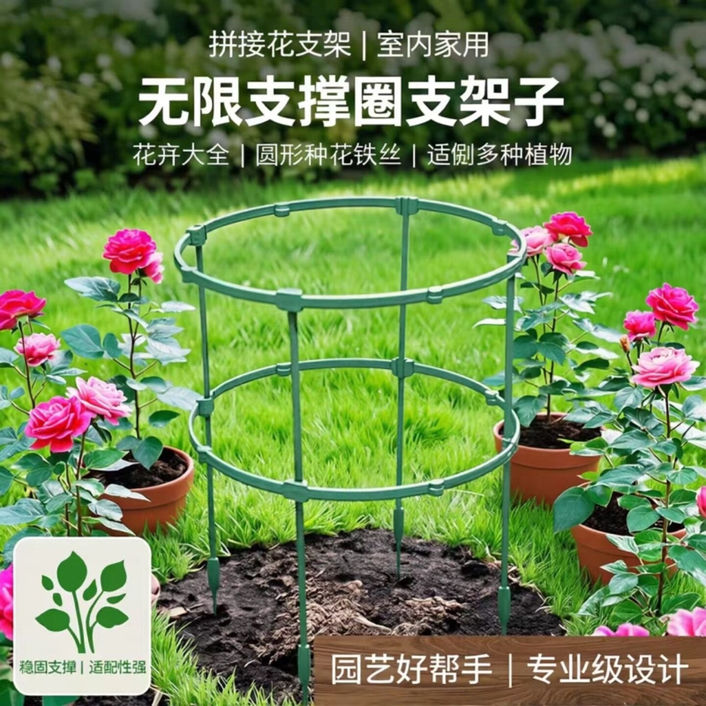 蟹爪兰花架子爬藤架火龙果花卉支架支撑杆植物爬藤支撑杆固定室内