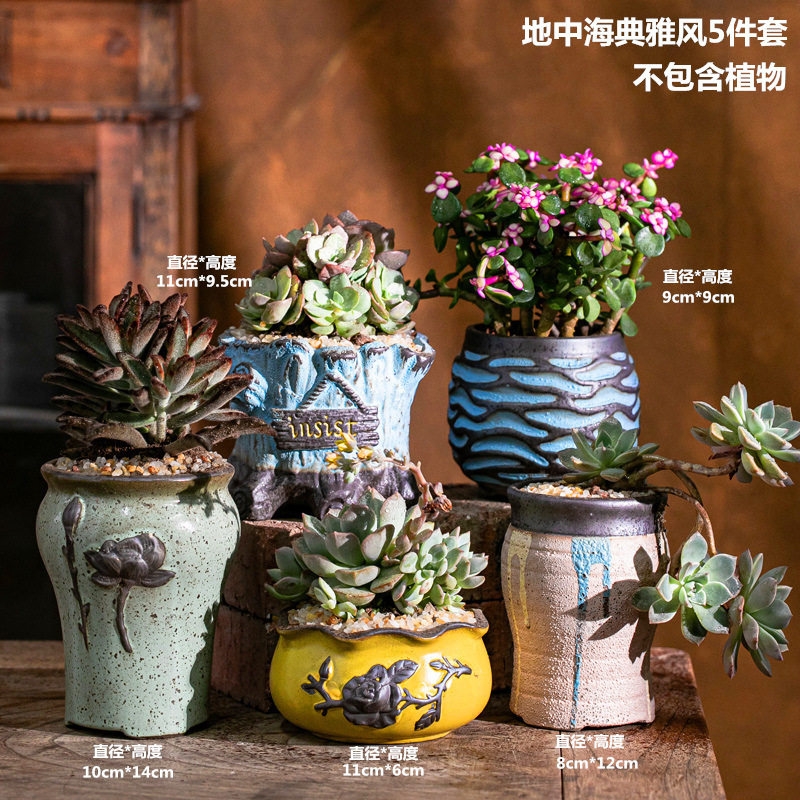 多肉植物花盆套装组合盆栽绿植花卉肉肉植物花盆室内肉肉玫瑰含盆