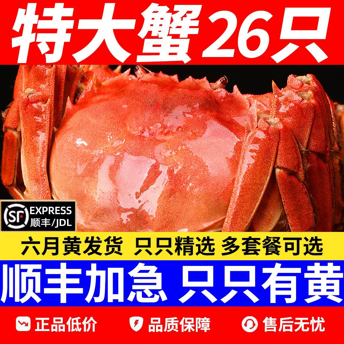 【活蟹】正宗大闸蟹螃蟹鲜活8-26只六月黄现货海鲜礼盒河蟹旗舰店 - 实物图