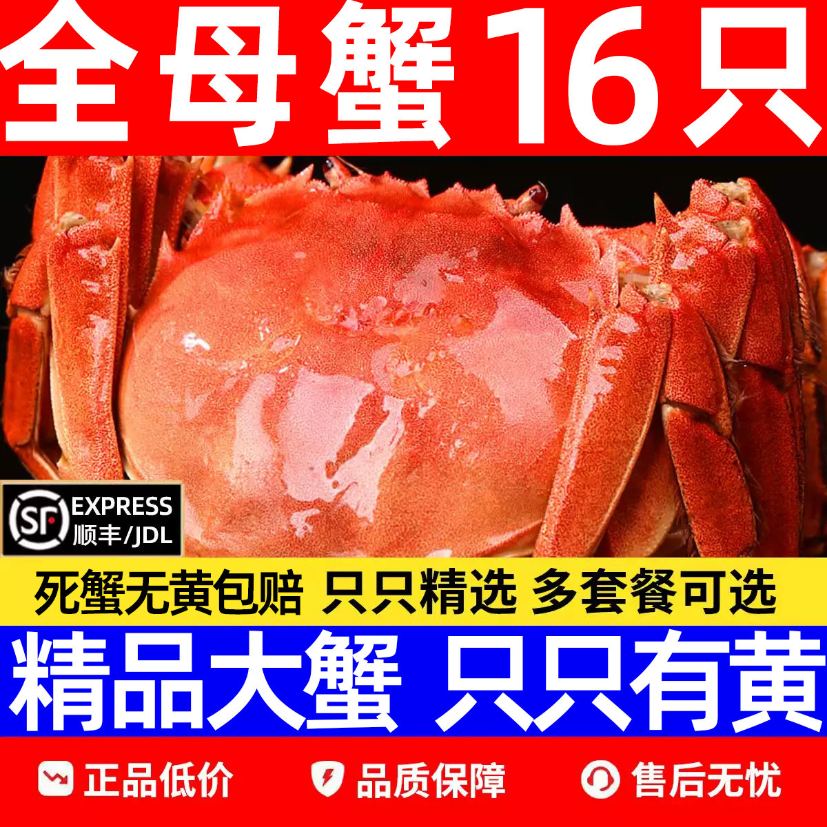 鲜活大闸蟹现货全母螃蟹图片